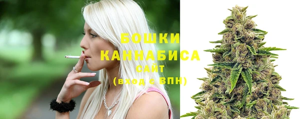 стафф Богородск