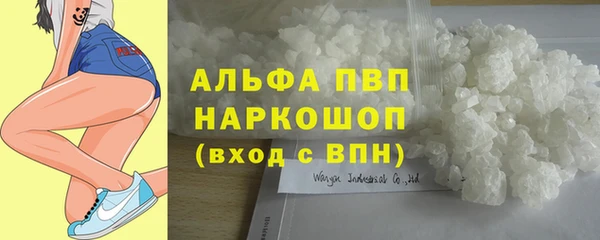 стафф Богородск