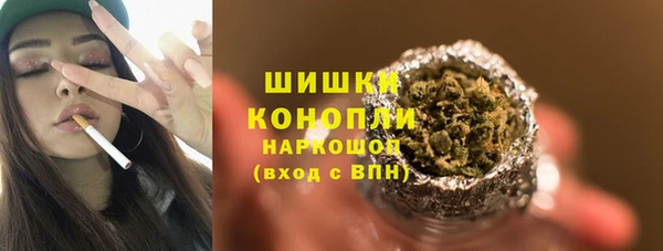 стафф Богородск