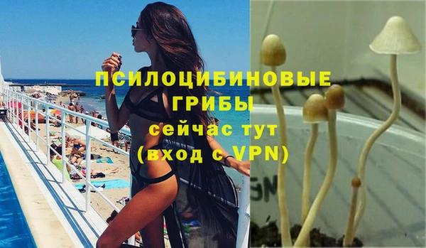 стафф Богородск