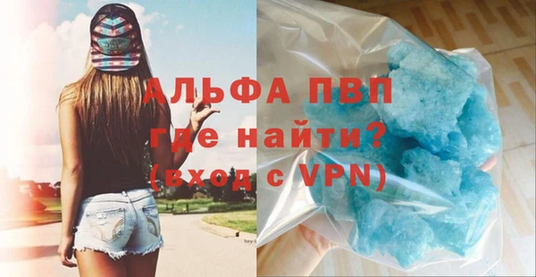 стафф Богородицк