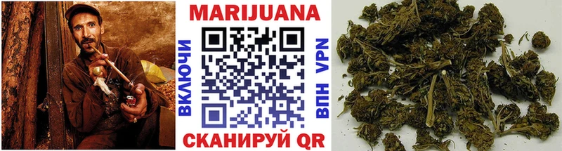 Шишки марихуана план  закладки  Щигры 